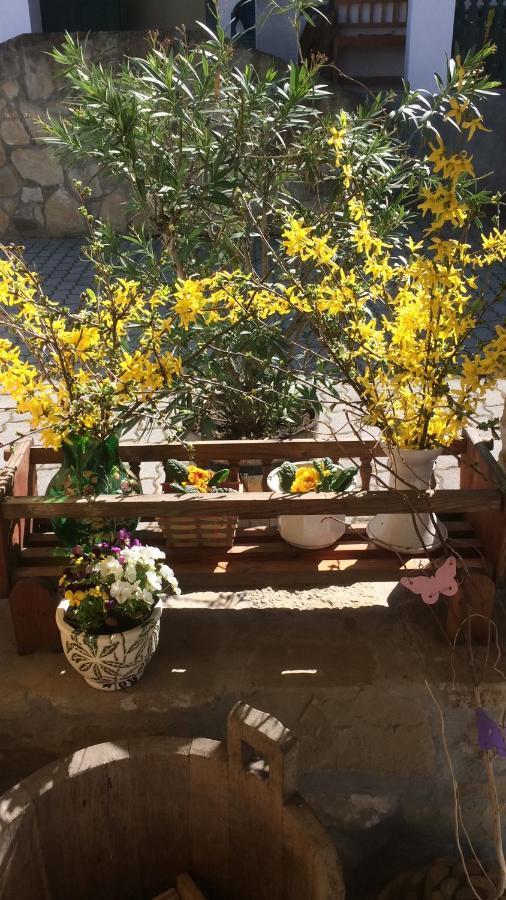 Falubiro Vendeghaza Bekolce Exteriér fotografie
